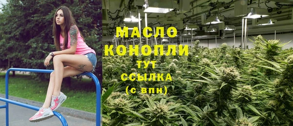 гашик Няндома