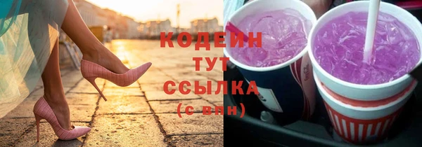 гашик Няндома
