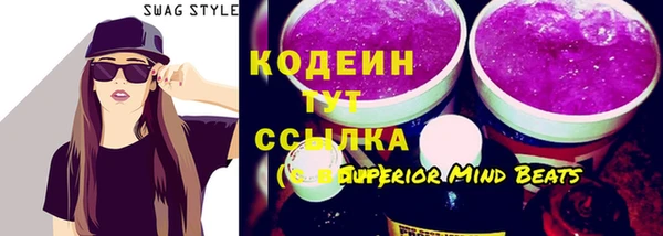 гашик Няндома