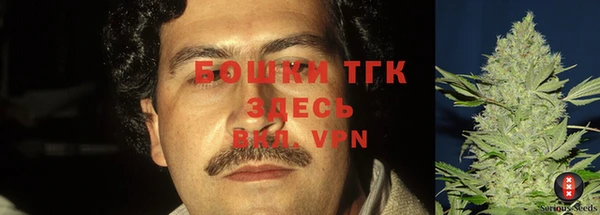 крисы Новокубанск