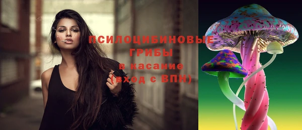 крисы Новокубанск
