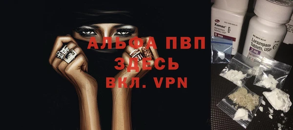 гашик Няндома
