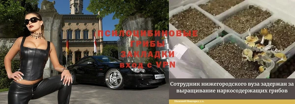 гашик Няндома