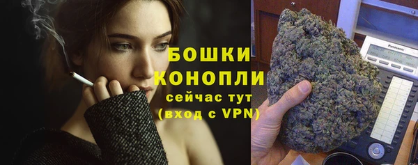 крисы Новокубанск