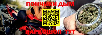 сатива Бийск