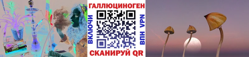 Галлюциногенные грибы GOLDEN TEACHER  Кудымкар 