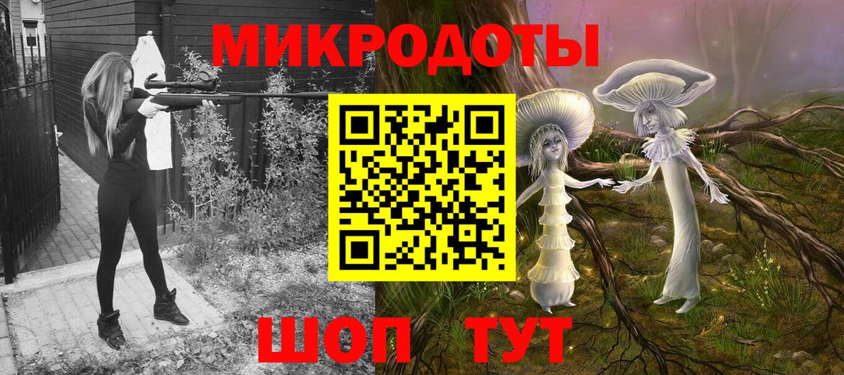 Псилоцибиновые грибы Psilocybe Кудымкар