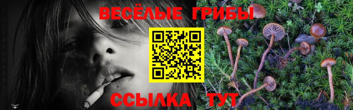 Галлюциногенные грибы ЛСД  Кудымкар 